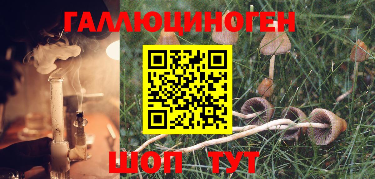 Галлюциногенные грибы GOLDEN TEACHER  Вход с VPN  Изобильный 